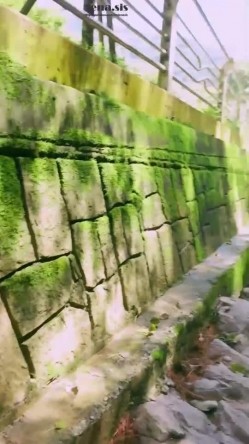 高质量极品尤物巅峰女神jena.sis赞助者享有福利视图，完美身材，各种环境露出放骚挑逗 截图7