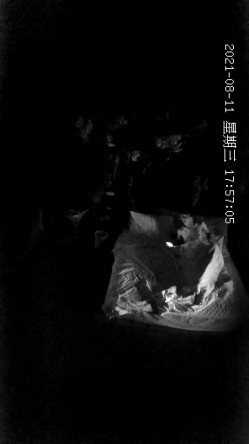 【酒店偷拍】增添新房型大学生入住俊男美女激情 截图13