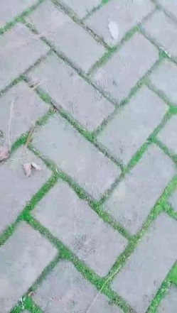 【户外小淫雪】公园超市~户外全裸 ️跳蛋大黑牛~车内狂震喷水 ️搞得大哥可紧张啦！ 截图10