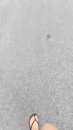 极品新人 肉肉感十足好爽【妍心】沐浴自慰 大喷水啊，眼镜妹子反差婊，蜜桃臀后入上品，刺激 截图10