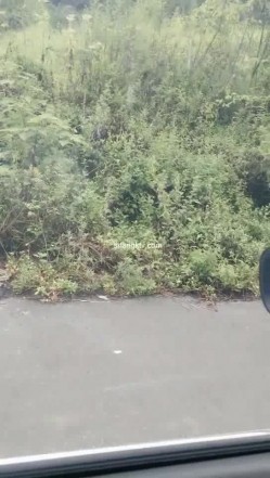 野外~玩刺激~玩心跳~【无敌小表妹】2男2女~车震小树林~茅屋~操出血，家中3P啪啪 截图11