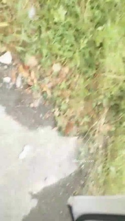 野外~玩刺激~玩心跳~【无敌小表妹】2男2女~车震小树林~茅屋~操出血，家中3P啪啪 截图16