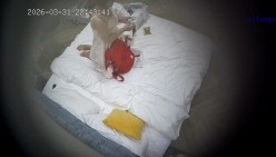 酒店偷拍大奶学妹喜提毕业证书和男友开房庆祝让男友用手指插穴忍不住激情操逼 截图12