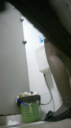 大型购物中心内部女厕偷拍 多位黑丝美女店员的各种极品美鲍鱼 截图12
