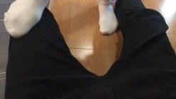 【靴下绅士】疑似破解版流出。四位主角原版放送！ 截图2