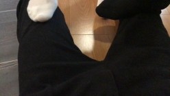 【靴下绅士】疑似破解版流出。四位主角原版放送！ 截图3