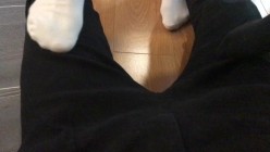 【靴下绅士】疑似破解版流出。四位主角原版放送！ 截图4