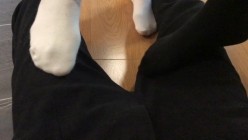 【靴下绅士】疑似破解版流出。四位主角原版放送！ 截图6