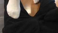 【靴下绅士】疑似破解版流出。四位主角原版放送！ 截图10