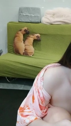 极品高颜冷艳御姐，反差小妈感女主播「金刚护撸娃」「小奶猫」激情淫语撩骚，和姐妹下海大秀，互舔互口假鸡巴互插 截图12