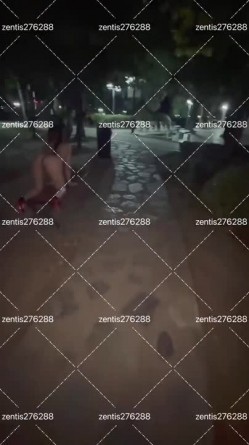 母狗调教师【泽塔控】滴蜡封逼 双洞跳蛋 两只母狗 双倍快乐！惩罚完狠狠的艹一顿 直接拽到床角 扯着绳子狠狠的后入内射 截图3
