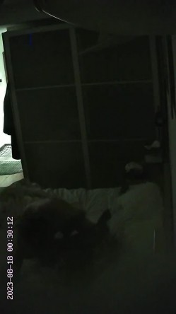 民宿酒店偷拍 ️年轻情侣做爱妹子水很多每次啪啪很大的水声 截图3