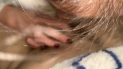 淫妻3P群P自慰露出尿脸,【双面夫妻_0575妓啪啪】,反差都市丽人，约单男交换 截图15
