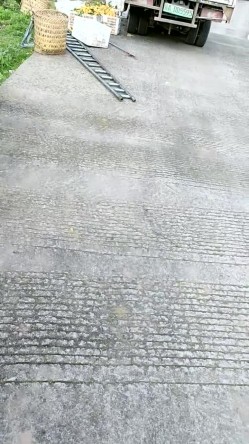 重磅核弹！！！极品御姐玩户外~【不烧退钱】真空马路裸露~小树林全裸跳蛋~ 截图16