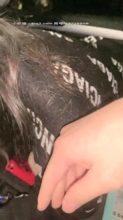 【Avove】系列合集，野战爱好者，带着炮友各地留精，最爱无毛肥逼包臀裙肉丝 截图7