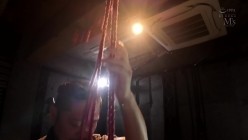 MVSH-002 截图9