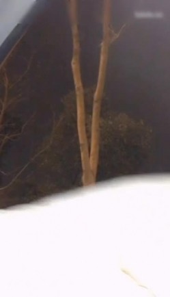周末撸管必看！百变女神魅心马路边不顾所有眼光表演各种造型亮瞎眼秒杀不少封面女神 截图7