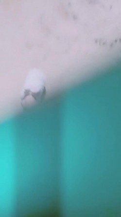 【狐狸不是妖啊】宝马御姐 与金主楼道露出野战 户外车震 双女自慰道具爆浆 截图14