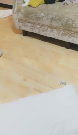 两男两女4P疯狂啪啪秀 俩妹子身材很惹火 各种姿势口交啪啪很是淫荡骚逼淫荡对白 截图11