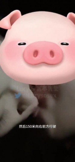淫妻车内完全露出了，代驾师傅开车进来整个人震惊了！整个人语无伦次，让他摸又不敢，真是个怂货! 截图11
