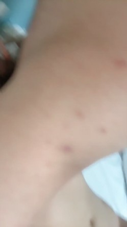【18岁晓晓】巨乳校花 这奶子简直绝了 疯狂抖奶 无套啪啪骑乘后入 吃鸡 抠逼自慰 尿尿 截图16