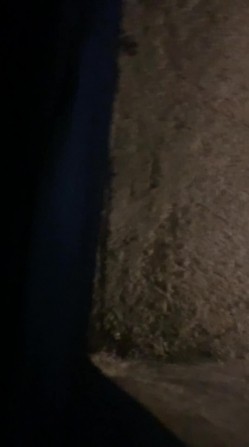 【极品身材浴室精灵】绝逼收藏盗摄佳作『极品身材』某大神冒死偷拍好几个年轻高颜值妹子的洗澡高清 截图8