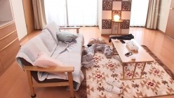 SSIS-010 彼女が不在の2日間、ボクは彼女の親友の芸能人と朝から晩までひたすらハメまくった 截图9