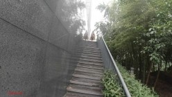 顶级反差露脸御姐，露出鼻祖，网红【火儿姐】景区裸行高清原版视图，大奶美腿女人味十足 截图1
