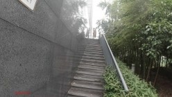 顶级反差露脸御姐，露出鼻祖，网红【火儿姐】景区裸行高清原版视图，大奶美腿女人味十足 截图2