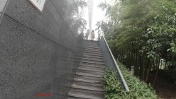 顶级反差露脸御姐，露出鼻祖，网红【火儿姐】景区裸行高清原版视图，大奶美腿女人味十足 截图5