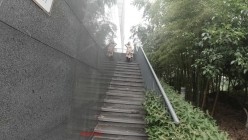 顶级反差露脸御姐，露出鼻祖，网红【火儿姐】景区裸行高清原版视图，大奶美腿女人味十足 截图8