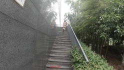 顶级反差露脸御姐，露出鼻祖，网红【火儿姐】景区裸行高清原版视图，大奶美腿女人味十足 截图10
