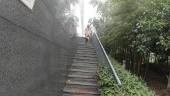 顶级反差露脸御姐，露出鼻祖，网红【火儿姐】景区裸行高清原版视图，大奶美腿女人味十足 截图11