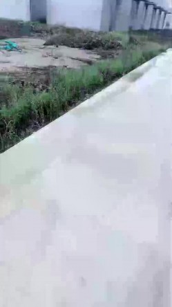 【露露姐】超骚御姐~美乳诱惑~户外跳蛋~车震无套啪啪 截图2