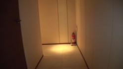 200GANA-3444 截图10
