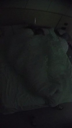 酒店针孔偷拍 ️不穿内的衣甜美可爱美女带上眼镜配合男友啪 截图15