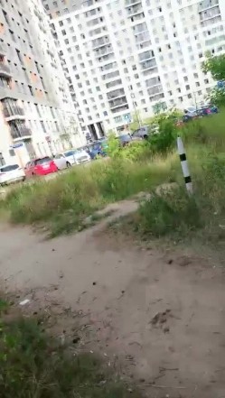 【海外嫖娼】大神在国外网站上嫖妓 约好时间地点快乐赴约 公寓内品尝美艳肉体 后入白臀带感十足 截图3