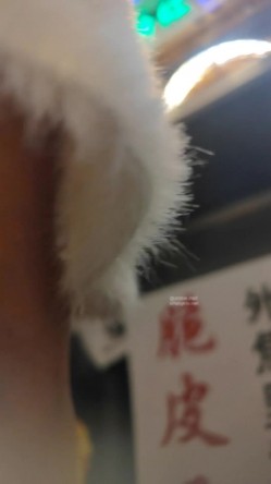 大神尾随偷拍美女裙底风光 ️碎花裙眼镜妹逛街透明丝袜薄内性感可爱+超极品美女包臀裙水晶高跟鞋粉色X感窄内 截图7