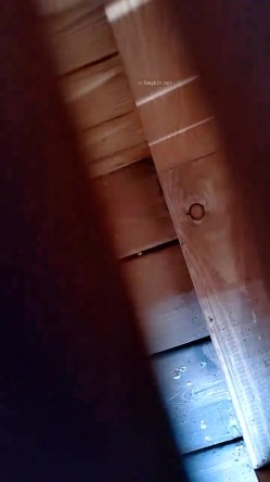 专业操老外 【户外挑战者】土豪国外泡洋妞 无套啪啪，奢靡生活美女众多，大显国威操翻震撼推荐 截图1