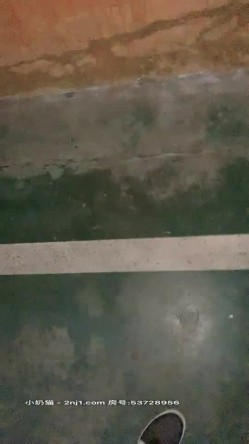【Avove】系列合集，野战爱好者，带着炮友各地留精，最爱无毛肥逼包臀裙肉丝 截图4