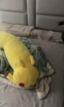 极品轻熟女 肥臀巨乳熟女大姐姐，符文法师超爱吃吊，假阳具自慰，这种轻熟女艹起来肯定很爽吧 截图10