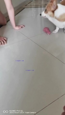 【极品流出 ️恋爱性陷阱】圈养调教大学母狗『二月』无下限性开发实录 完美曝光真实还原母狗成长变化 截图7