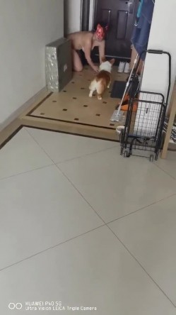 【极品流出 ️恋爱性陷阱】圈养调教大学母狗『二月』无下限性开发实录 完美曝光真实还原母狗成长变化 截图16