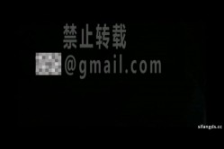 【嫖娼偷拍】，非常新奇的自拍方式，全程第一视角，对话非常有趣，被内射后少妇还说你放里面 截图4