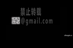 【嫖娼偷拍】，非常新奇的自拍方式，全程第一视角，对话非常有趣，被内射后少妇还说你放里面 截图6