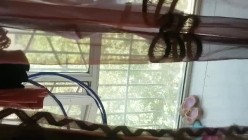 新疆风情阿姨，打电话的时候从后面提枪猛操。久经沙场阿姨：站那好尴尬，我刚吃饭待会出去工作，昨天装一车没装完。电话那头都没发现在做爱！ 截图1