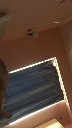 付费私密良家换妻交流群内部狼友分享视图  邀请年轻单男干成熟姐姐太疯狂了 截图15