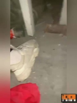最新瓜 ️邵S阳大汉悦中心地下停车场两个屌丝男捡尸醉酒美女门事件 截图10