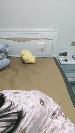 ️颜值巨乳【你的小月月508370492】纯欲天花板！超高颜值-完美身材大奶子 截图1