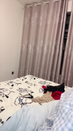 新人巨乳校花【小羊不太乖】好纯啊 初恋啊 超级大美乳跳蛋自慰 初恋的感觉 好爽 截图13